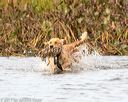 20171007-wcxw-0940
