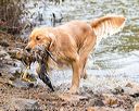 20171007-wcxw-0965