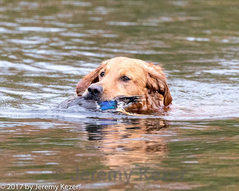 20171007-wcxw-0131.jpg