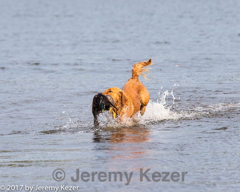 20171007-wcxw-0782.jpg