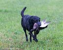20171008-wcl-0041