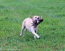 20171008-wcl-0060