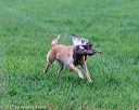 20171008-wcl-0077