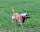 20171008-wcl-0082