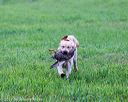 20171008-wcl-0117