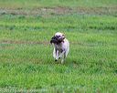 20171008-wcl-0154