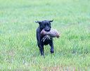 20171008-wcl-0194