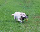 20171008-wcl-0227