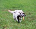 20171008-wcl-0230