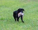 20171008-wcl-0273