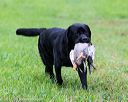 20171008-wcl-0277