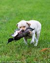 20171008-wcl-0406