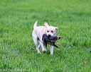 20171008-wcl-0509