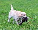 20171008-wcl-0510