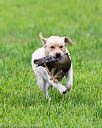 20171008-wcl-0705
