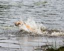20171008-wcw-0910