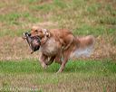 20180602-shrl-0013