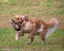 20180602-shrl-0018
