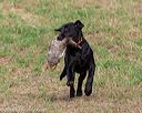 20180602-shrl-0032