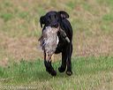20180602-shrl-0039