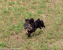 20180602-shrl-0085