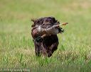 20180602-shrl-0112