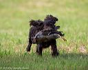 20180602-shrl-0115