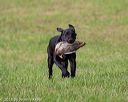 20180602-shrl-0143