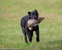 20180602-shrl-0145