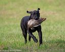20180602-shrl-0146