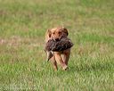 20180602-shrl-0198