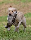 20180602-shrl-0219