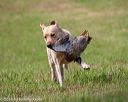 20180602-shrl-0232