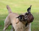 20180602-shrl-0244