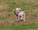 20180602-shrl-0247