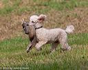 20180602-shrl-0257