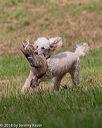 20180602-shrl-0260