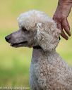 20180602-shrl-0272