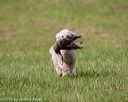 20180602-shrl-0277