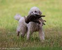 20180602-shrl-0280