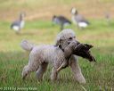 20180602-shrl-0282