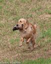 20180602-shrl-0291