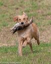 20180602-shrl-0297