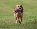 20180602-shrl-0317