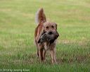 20180602-shrl-0318