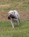 20180602-shrl-0349