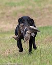 20180602-shrl-0384