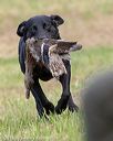 20180602-shrl-0388