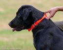 20180602-shrl-0390