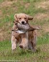 20180602-shrl-0412